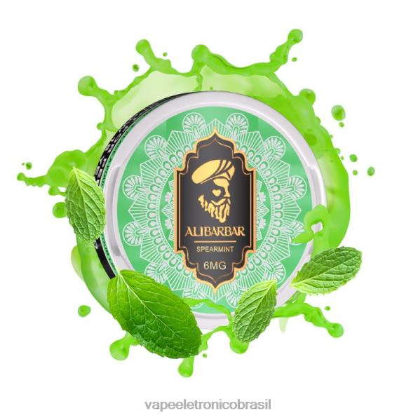 Alibarbar bolsas de nicotina hortelã 6BR2890 - Vape Sem Nicotina