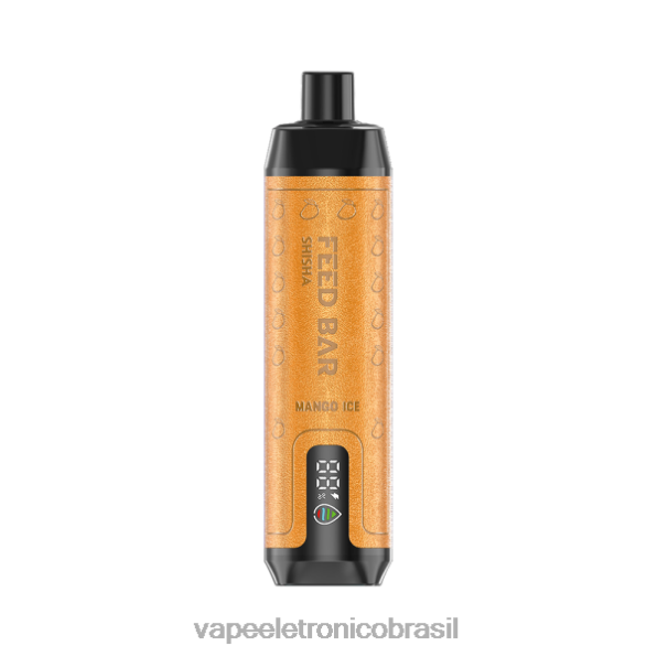 Vapsolo SHISHA vaporizador descartável gelo de manga 6BR28121 - Vape Recarregável