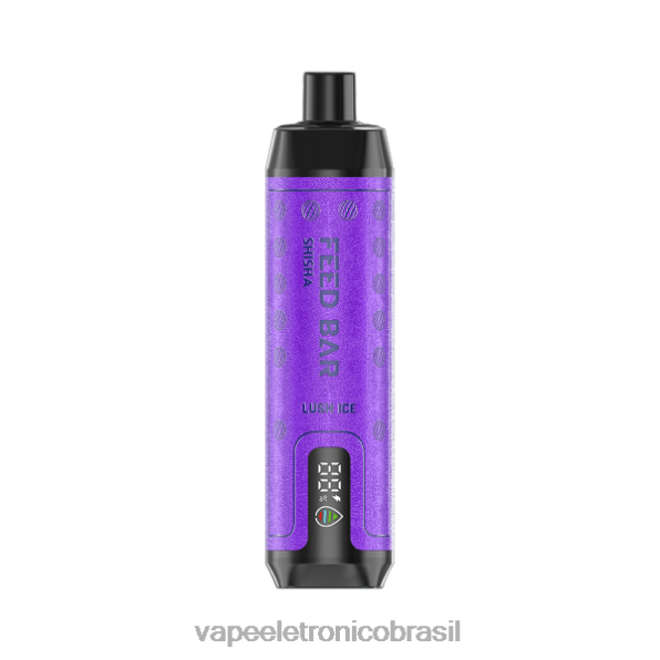 Vapsolo SHISHA vaporizador descartável gelo exuberante 6BR28120 - Vape Sem Nicotina