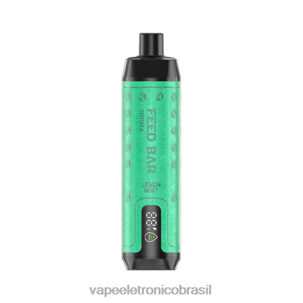 Vapsolo SHISHA vaporizador descartável hortelã-limão 6BR28119 - Vape Descartavel